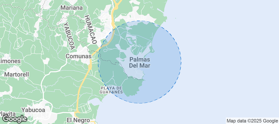 Discover Palmas del Mar Airbnb Analytics